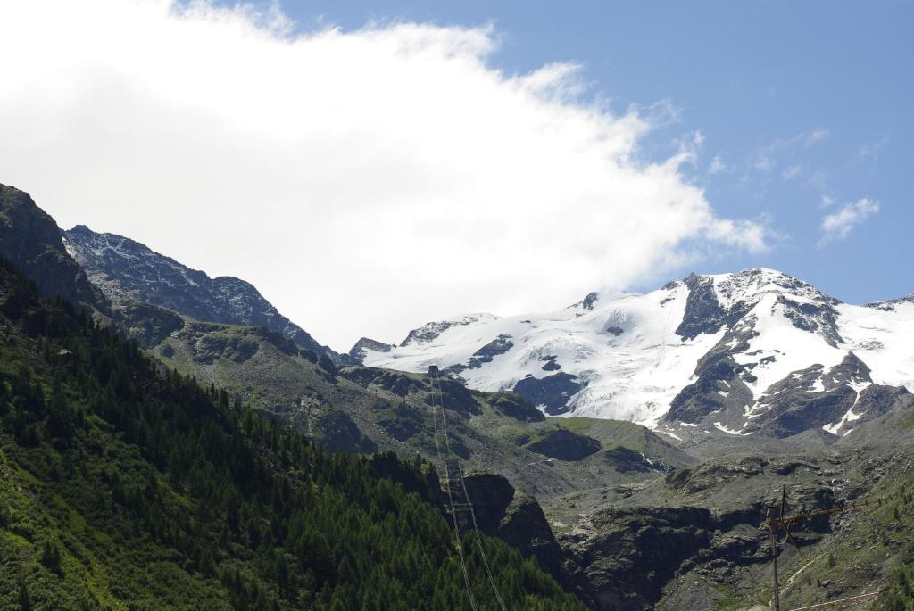 Montana 3*
